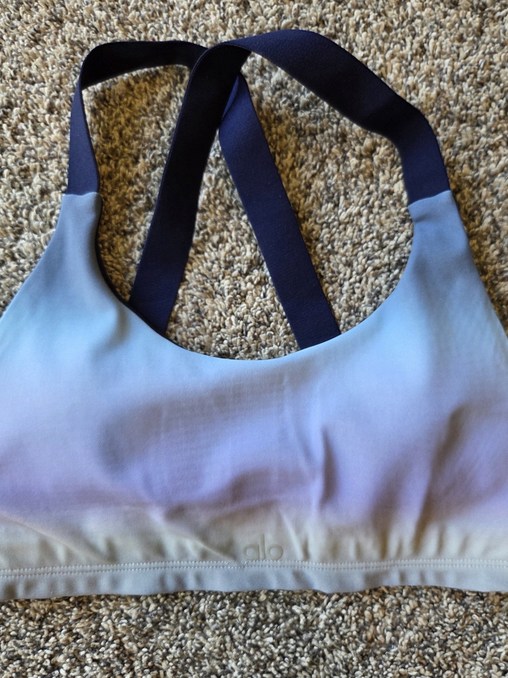 ALO Yoga Ombre Light Blue to Lavender Sports Bra with Navy Straps